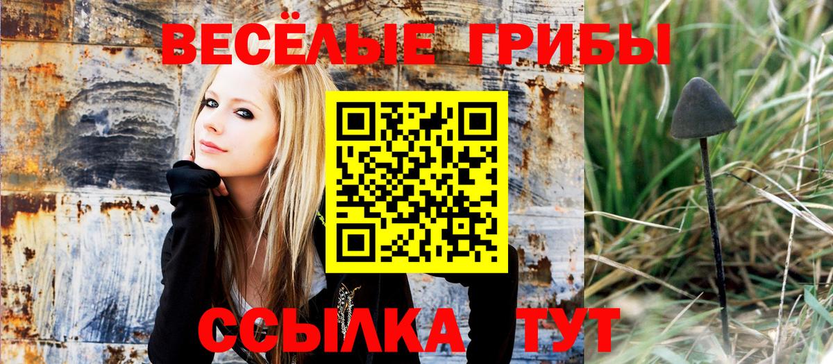 цены наркотик  Галлюциногенные грибы мухоморы  Реж  Вход с VPN  Псилоцибиновые грибы мухоморы 